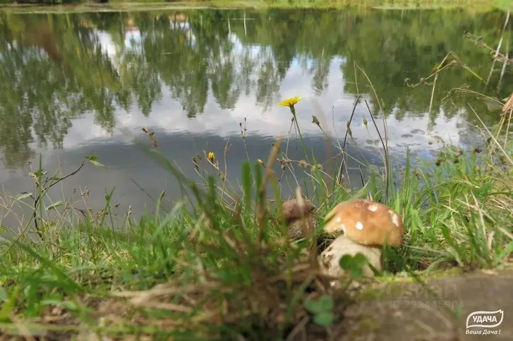 Участок в Калужская область, Малоярославецкий муниципальный округ, ... - Фото 2