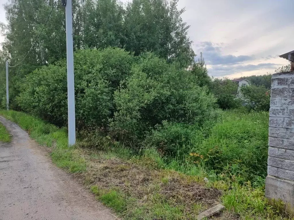 Участок в Ленинградская область, Всеволожский район, Колтушское ... - Фото 0