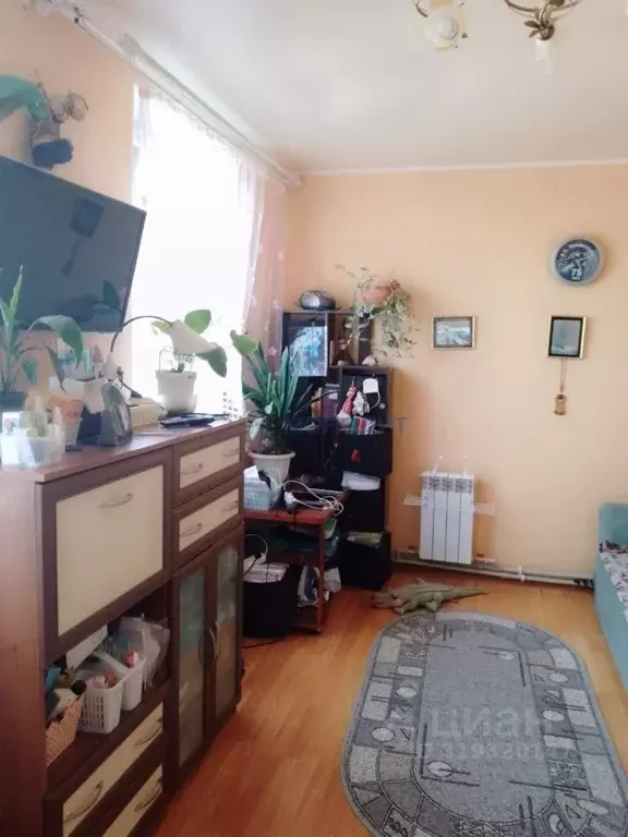 2-к кв. Нижегородская область, Богородск Кузнечный пер., 12А (32.7 м) - Фото 1