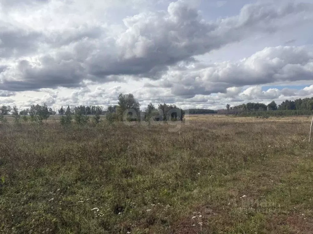 Участок в Тюменская область, Тюменский муниципальный округ, с. Щербак  ... - Фото 2