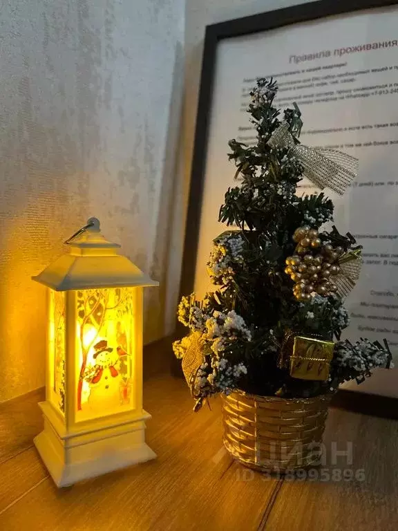 Студия Алтайский край, Барнаул просп. Строителей, 18к1 (17.0 м) - Фото 1