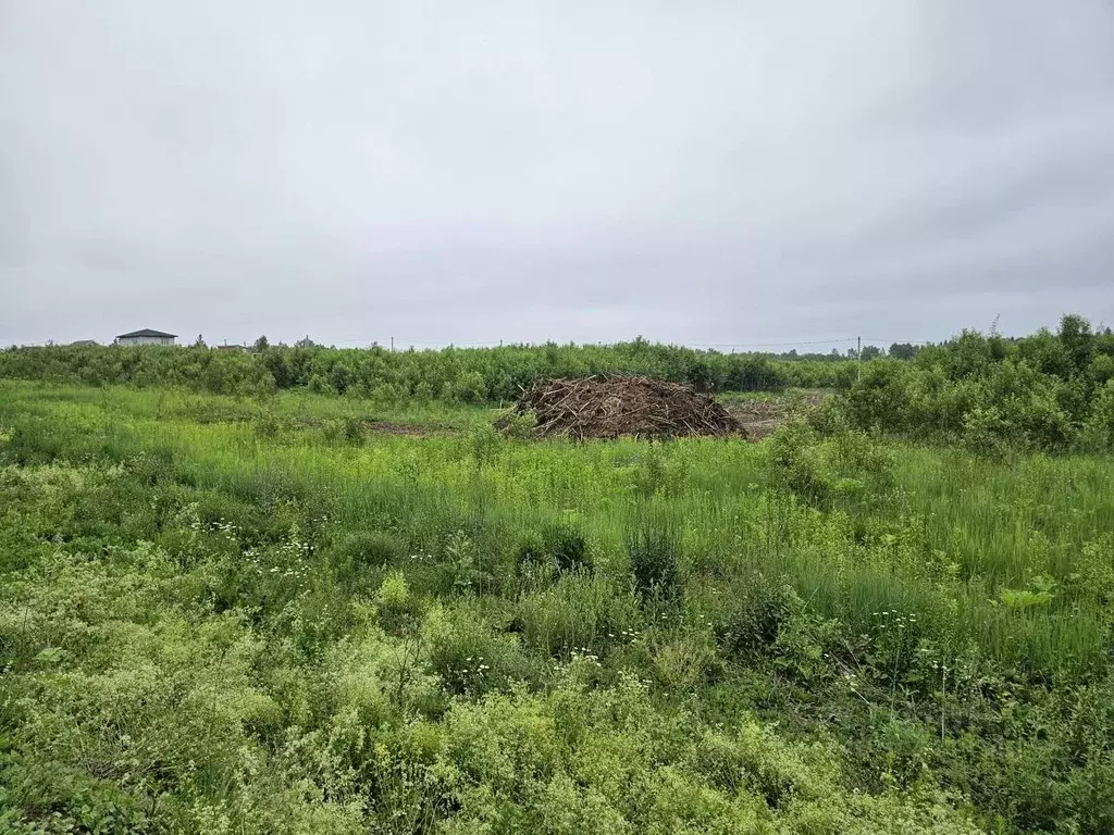 Участок в Московская область, Рузский городской округ, д. Леньково  ... - Фото 1