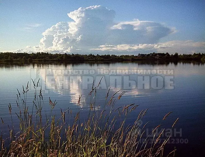 Участок в Смоленская область, Смоленск Подснежник садоводческое ... - Фото 1