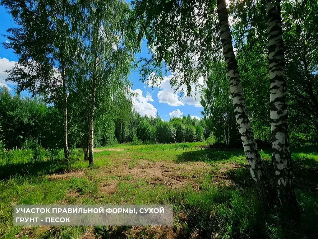 Участок в Ленинградская область, Тосненский район, Любанское городское ... - Фото 0