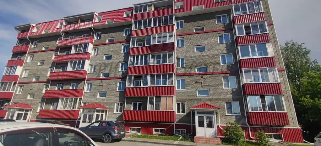 Студия Алтай, Майминский район, с. Майма ул. Механизаторов, 14 (28.4 ... - Фото 0