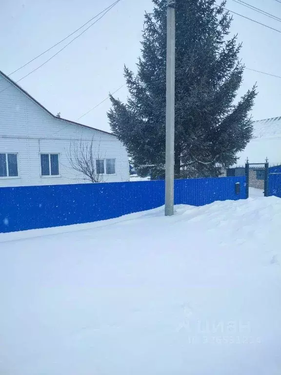 Дом в Башкортостан, Уфимский район, с. Кармасан Молодежная ул., 10 ... - Фото 2