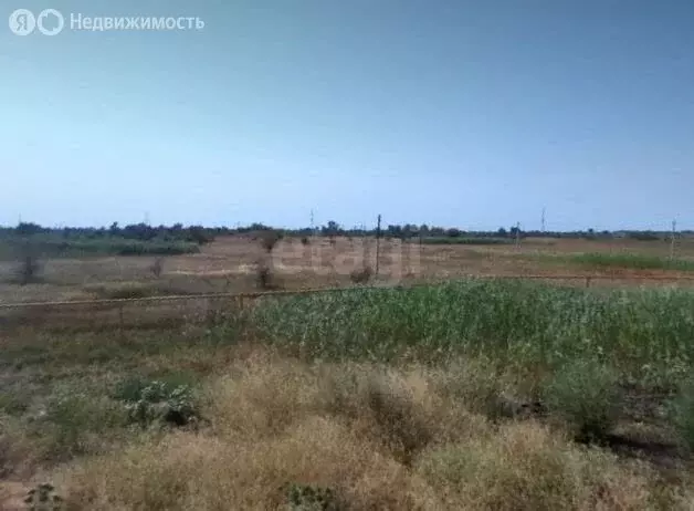 Участок в Елизаветинское сельское поселение, хутор Курган, Донская ... - Фото 1