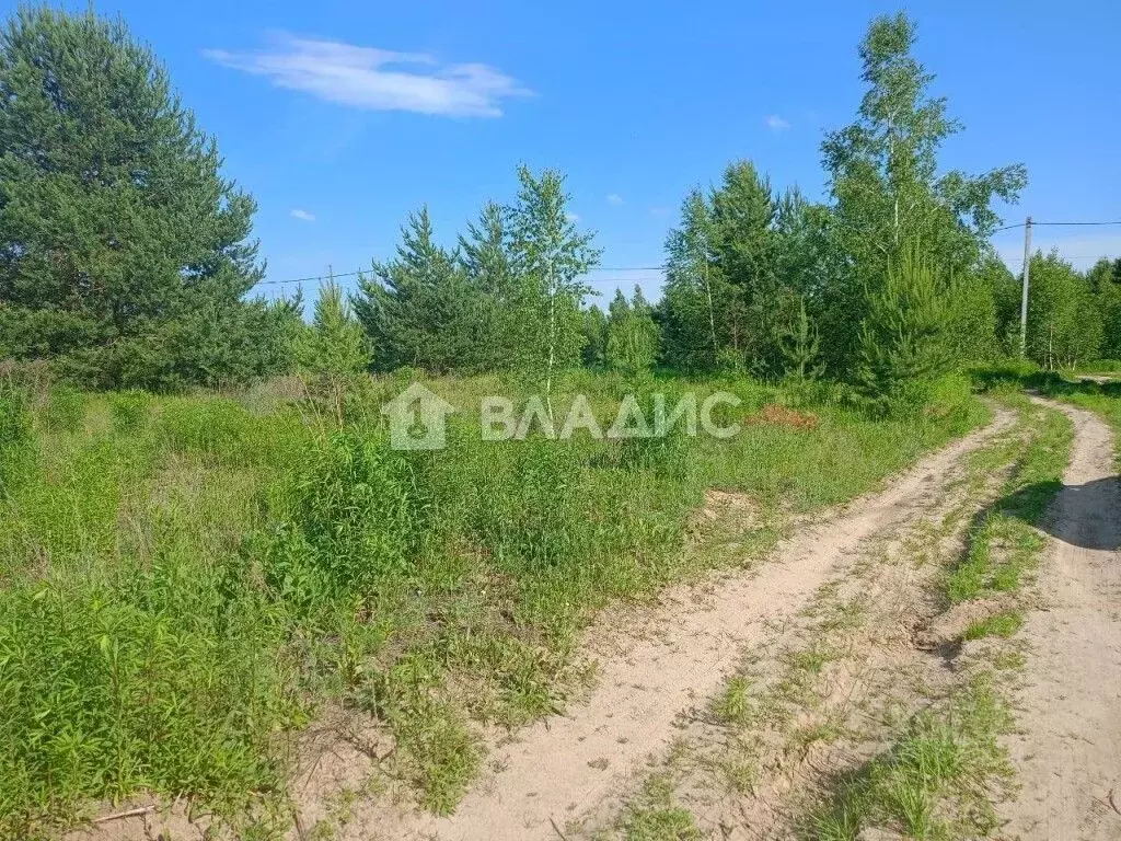 Участок в Владимирская область, Суздальский район, Боголюбовское ... - Фото 1