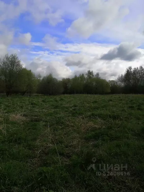 Участок в Владимирская область, Александровский район, д. Большое ... - Фото 1