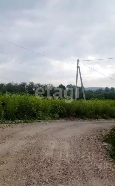 Участок в Пермский край, Пермский муниципальный округ, д. Болдино ул. ... - Фото 2