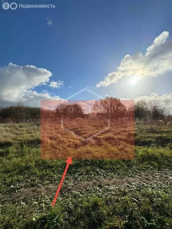 Участок в Калининградская область, Гурьевский муниципальный округ, ... - Фото 2