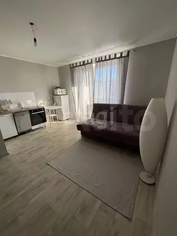 Квартира-студия, 24,1 м, 10/10 эт. - Фото 1