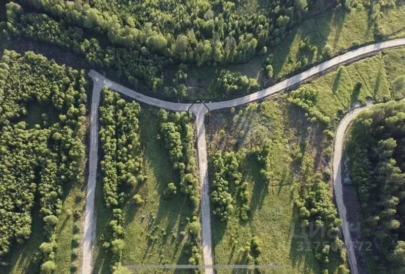 Участок в Ленинградская область, Приозерский район, Раздольевское ... - Фото 1