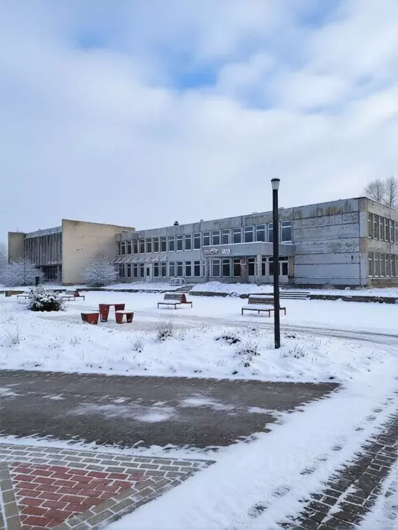 Помещение свободного назначения в Ленинградская область, Волосовский ... - Фото 2