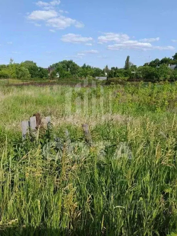 Участок в Воронежская область, с. Новая Усмань ул. Ленина, 22 (18.0 ... - Фото 1