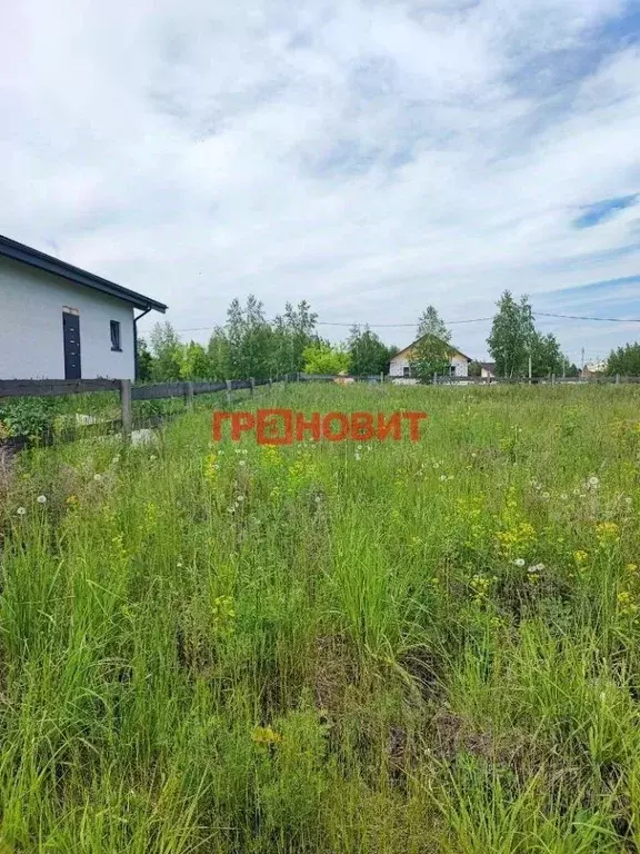 Участок в Новосибирская область, Новосибирский район, с. Верх-Тула ул. ... - Фото 2