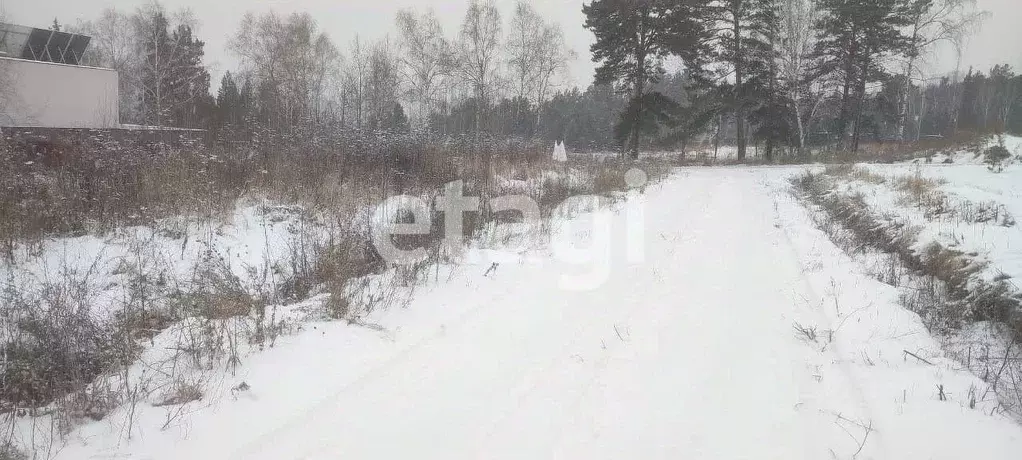 Участок в Красноярский край, Емельяново городское поселение, д. Крутая ... - Фото 0