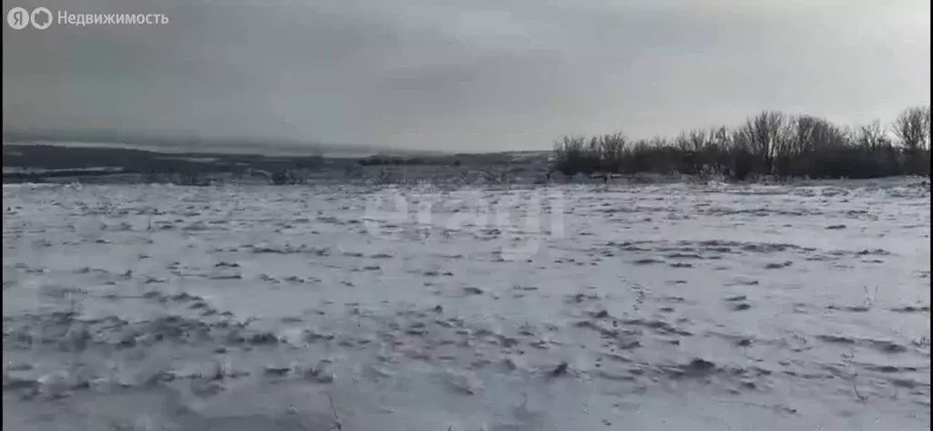 Участок в деревня Ивницы, улица 25 Января (8.7 м) - Фото 2