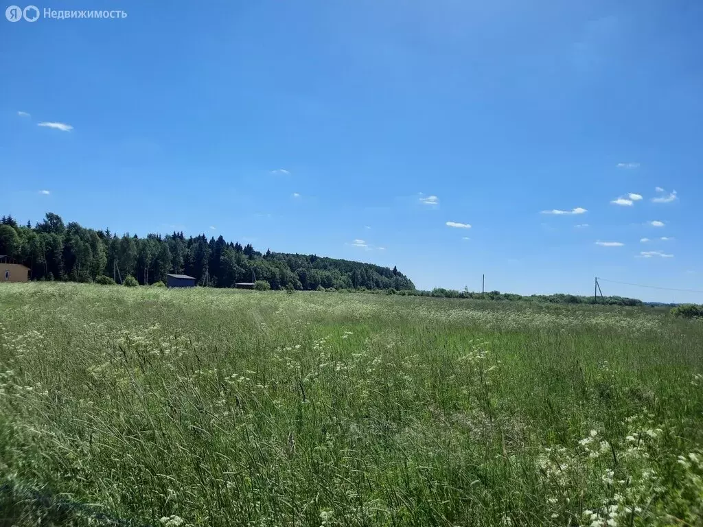 Участок в Кузнечихинское сельское поселение, деревня Шелепино (8.37 м) - Фото 0