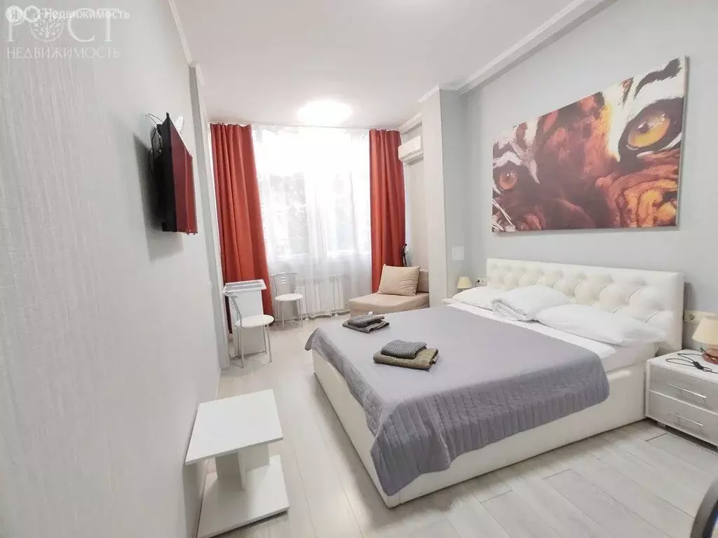 Квартира-студия: Сочи, Курортный проспект, 75 (22 м) - Фото 1