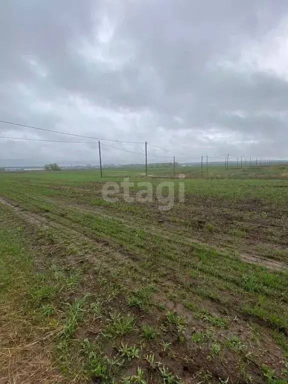 Участок в Татарстан, Тукаевский район, с. Калмия ул. Равиля Хазиева ... - Фото 0