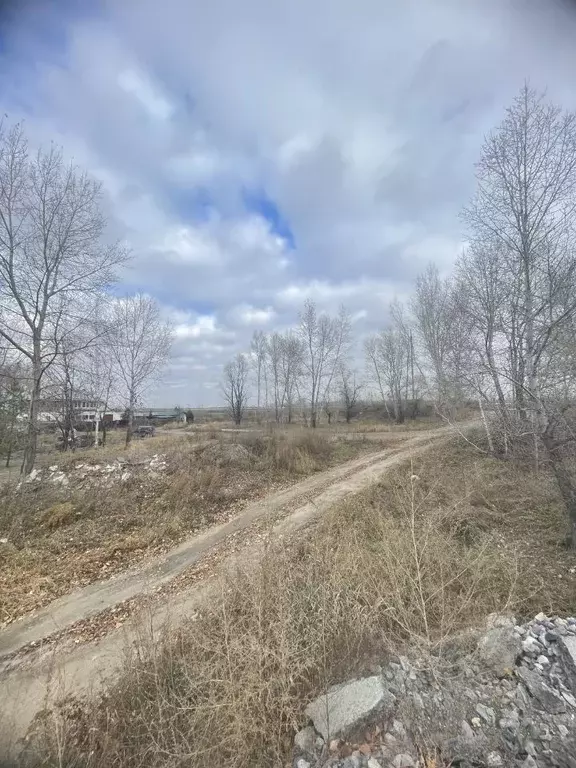 Участок в Новосибирская область, Новосибирский район, Криводановский ... - Фото 1