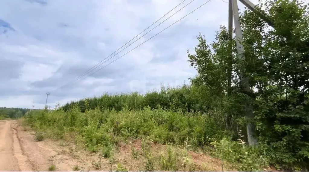 Участок в Свердловская область, Ревда муниципальный округ, с. Кунгурка ... - Фото 1