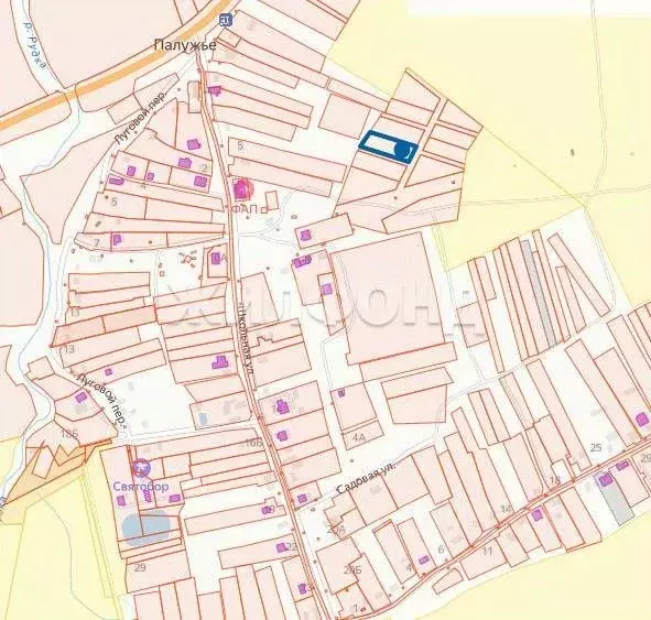 Участок в Брянская область, Выгоничский район, Кокинское с/пос, с. ... - Фото 1