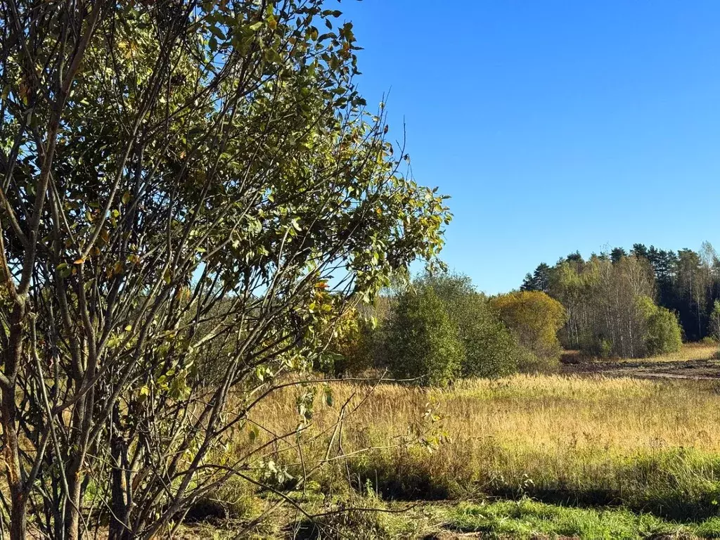 Участок в Московская область, Дмитровский муниципальный округ, Ерыково ... - Фото 1