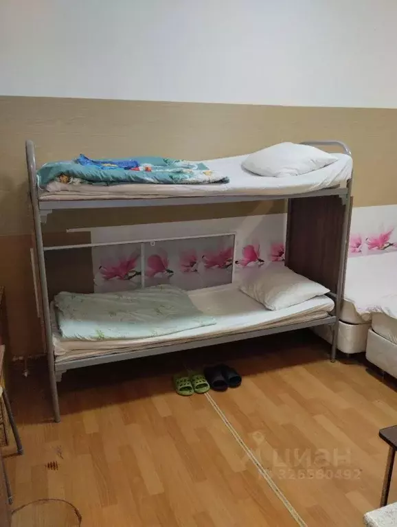 Студия Московская область, Электроугли Богородский городской округ, ... - Фото 2