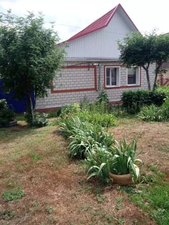 Дом в Саратовская область, Аткарск ул. Чернышевского, 77 (81 м) - Фото 0