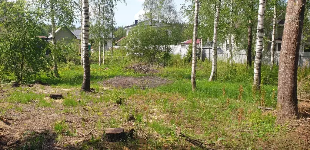 Участок в Ленинградская область, Всеволожский район, Бугровское ... - Фото 0