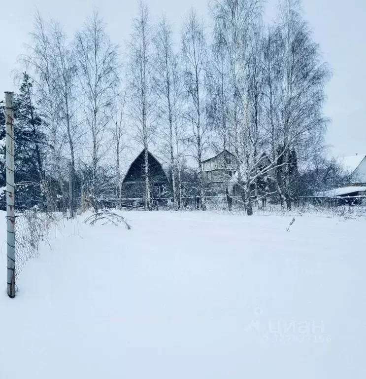 Участок в Московская область, Мытищи ул. Фурманова (8.0 сот.) - Фото 2