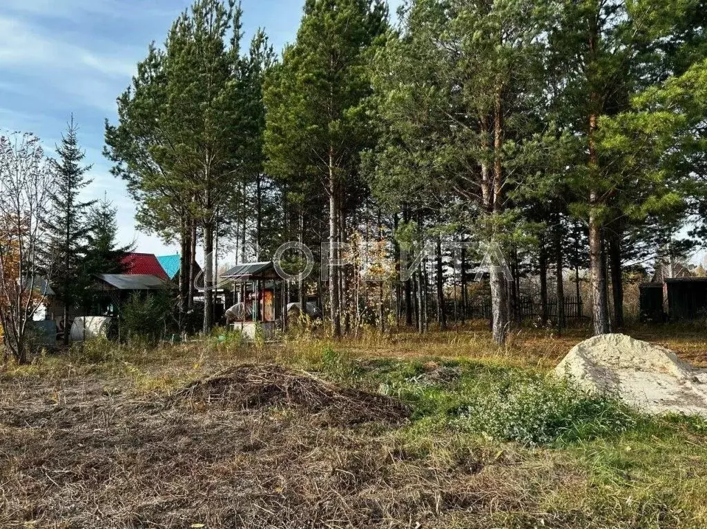 Участок в Тюменская область, Тюменский район, Нива СНТ ул. Цветная ... - Фото 1