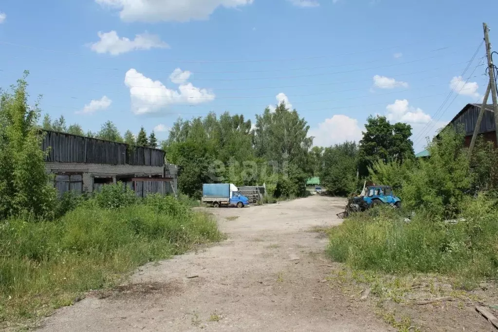 Производственное помещение в Нижегородская область, Перевоз Нагорная ... - Фото 1