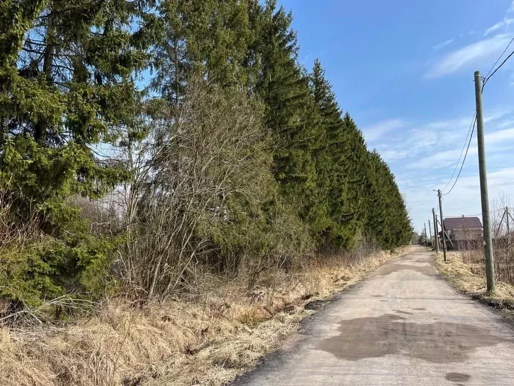 Участок в Ленинградская область, Тосненское городское поселение, д. ... - Фото 2