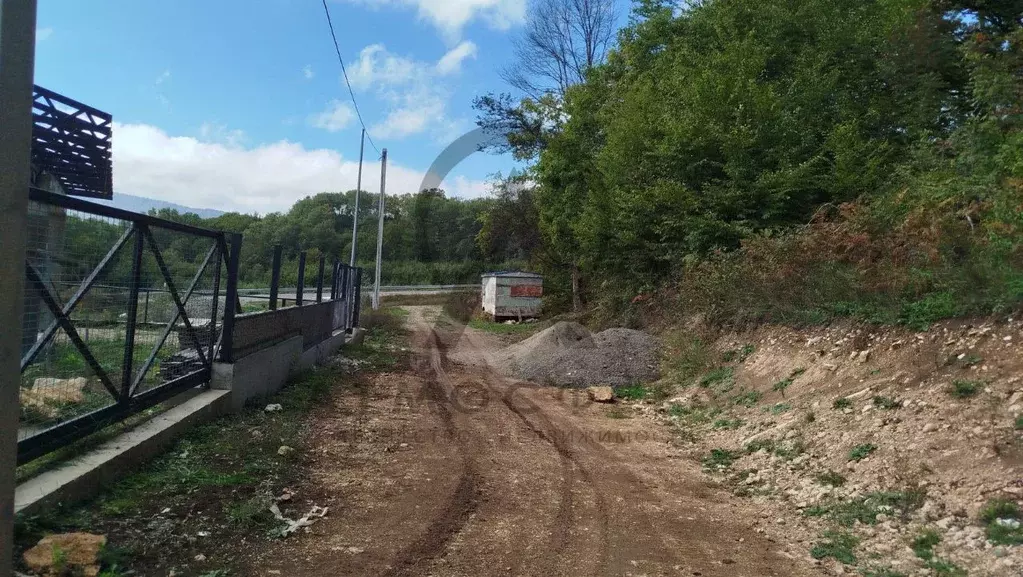 Участок в Краснодарский край, Апшеронский район, пос. Мезмай Высокая ... - Фото 2