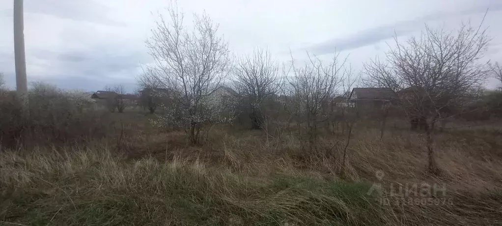 Участок в Краснодарский край, Северский район, Афипское городское ... - Фото 1
