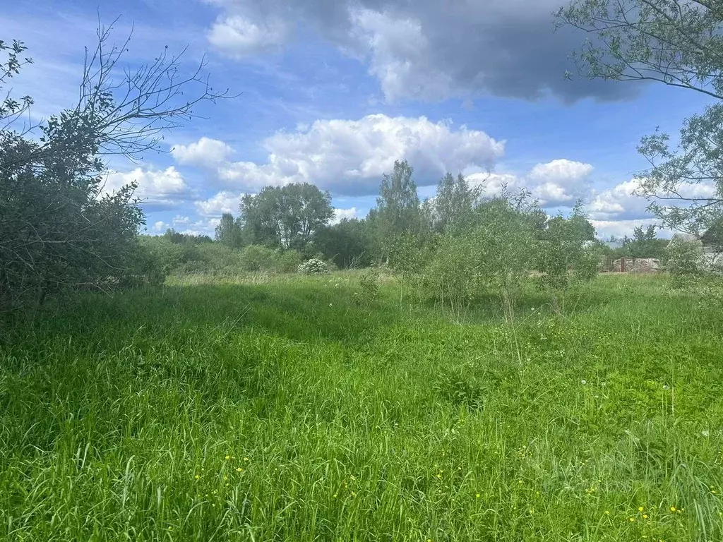 Участок в Московская область, Богородский городской округ, д. ... - Фото 1