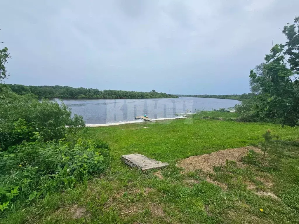 Участок в Вологодская область, Усть-Кубинский муниципальный округ, д. ... - Фото 1