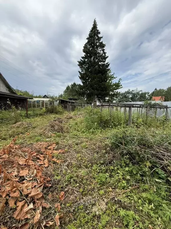 Участок в Московская область, Щелково городской округ, Березка СНТ ул. ... - Фото 1