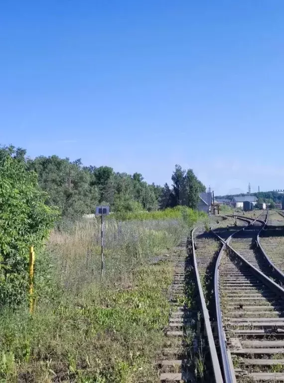 Участок в Алтайский край, Барнаул ул. Чернышевского, 282В (30.0 сот.) - Фото 2
