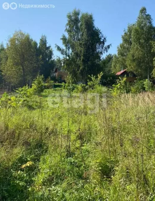 Участок в посёлок городского типа Тучково, 29 (9.52 м) - Фото 1