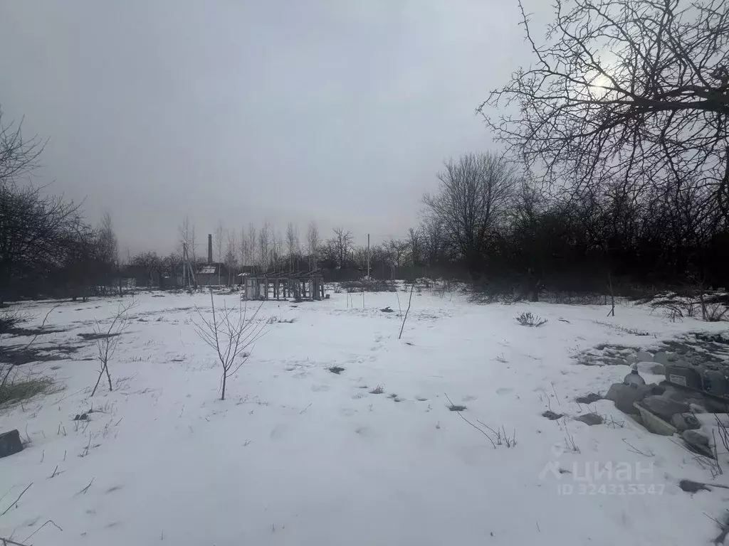 Участок в Брянская область, Брянский район, Снежское с/пос, с. ... - Фото 2