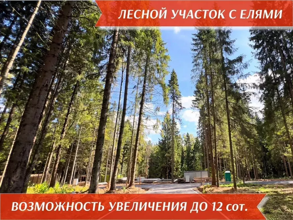 Участок в Московская область, Одинцовский городской округ, Рига лес кп ... - Фото 2