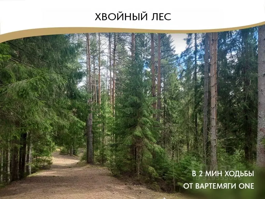 Коттедж в Ленинградская область, Всеволожский район, Агалатовское ... - Фото 1