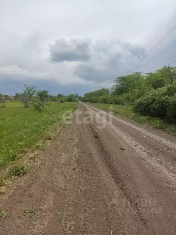 Участок в Ростовская область, Азов Азовский район,  (11.85 сот.) - Фото 1