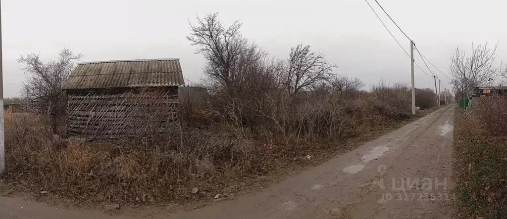 Участок в Краснодарский край, Ейское городское поселение, пос. ... - Фото 0