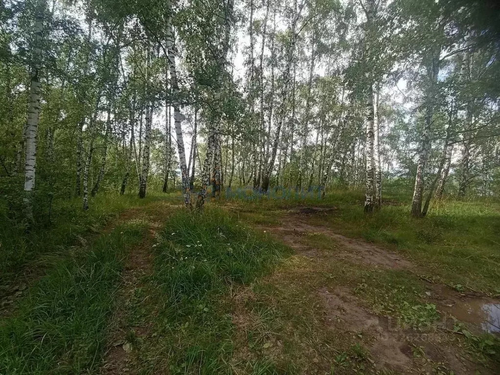 Участок в Нижегородская область, Нижний Новгород д. Зименки,  (20.0 ... - Фото 2