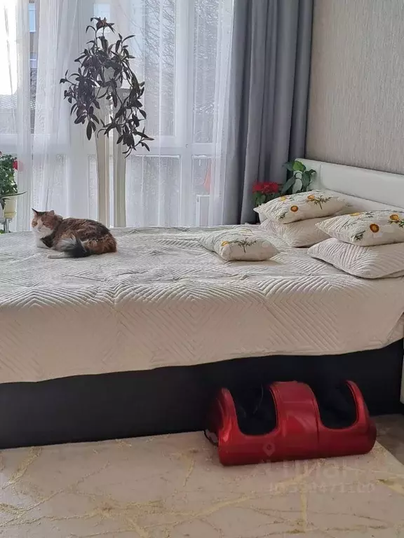 Дом в Крым, Ялта муниципальный округ, Кореиз пгт  (112 м) - Фото 2